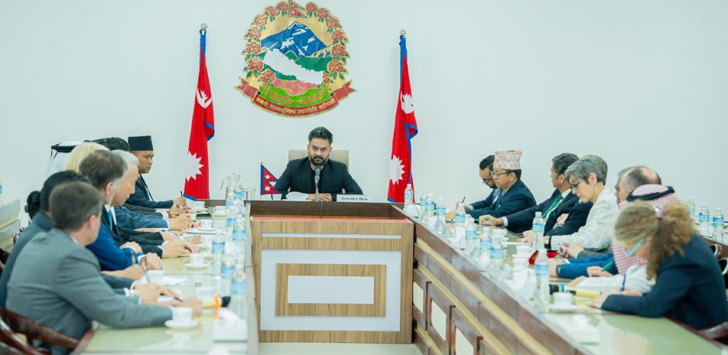 Image of प्रधानमन्त्री शाहद्वारा राजदूतहरूसँग सामूहिक भेट, परराष्ट्र सम्बन्ध मजबुत बनाउनेमा जोड