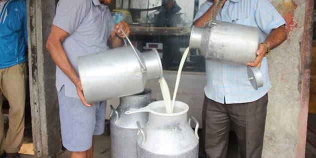 Image of दूध किसानले अब २५ दिनभित्रै भुक्तानी पाउने : मन्त्री चौधरी
