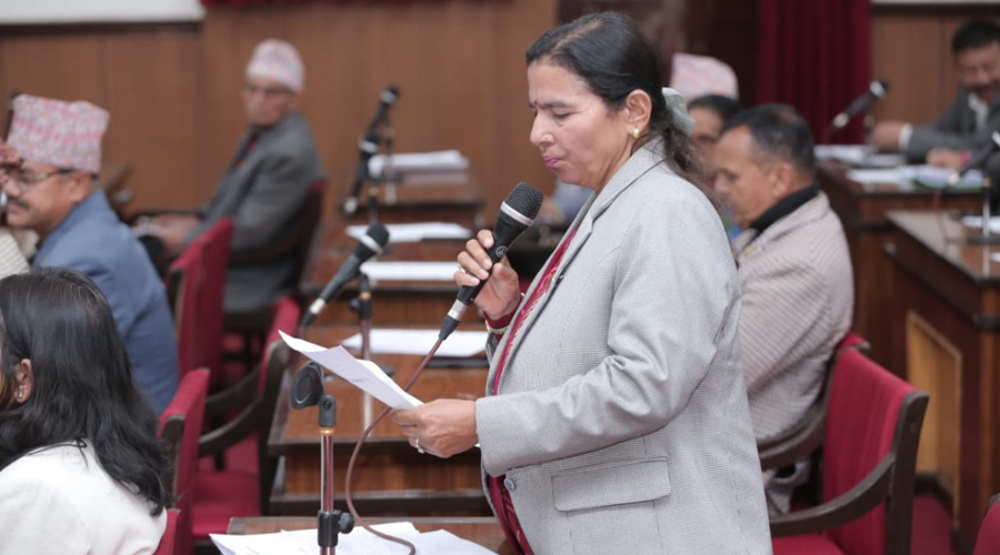 Image of झन्डा दुरुपयोग विरुद्ध कारबाही गर्न सांसदको