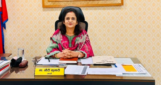 Image of बजारमा खाना पकाउने ग्याँसको अभाव छैन: मन्त्री यादव
