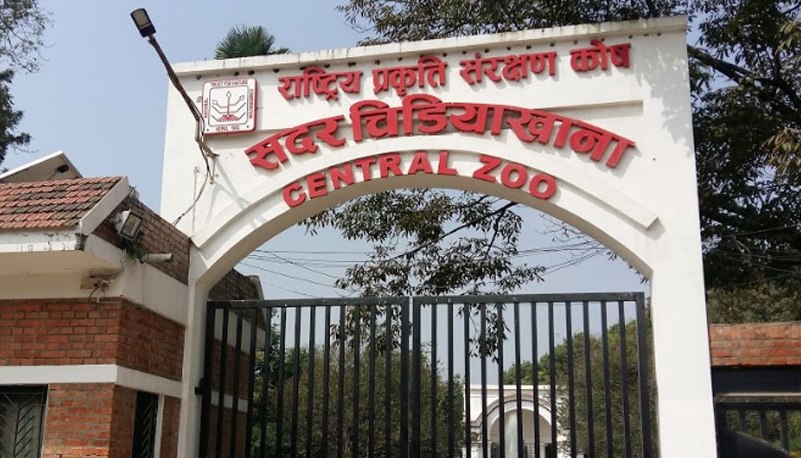 Image of बर्ड फ्लु संक्रमण पुष्टि भएपछि सदर चिडियाखाना अनिश्चितकालका लागि बन्द
